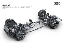A243110_large.webp