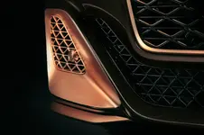 The Black Rose Batur- 7.webp