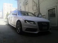 Whitey.webp