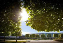 P90249072-home-of-rolls-royce-goodwood-1500px.webp