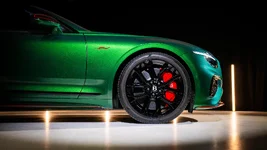 Black Forest Collection - 2.webp