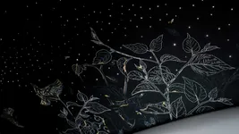d-embroided-starlight-headliner-captures-mo-2666px.webp